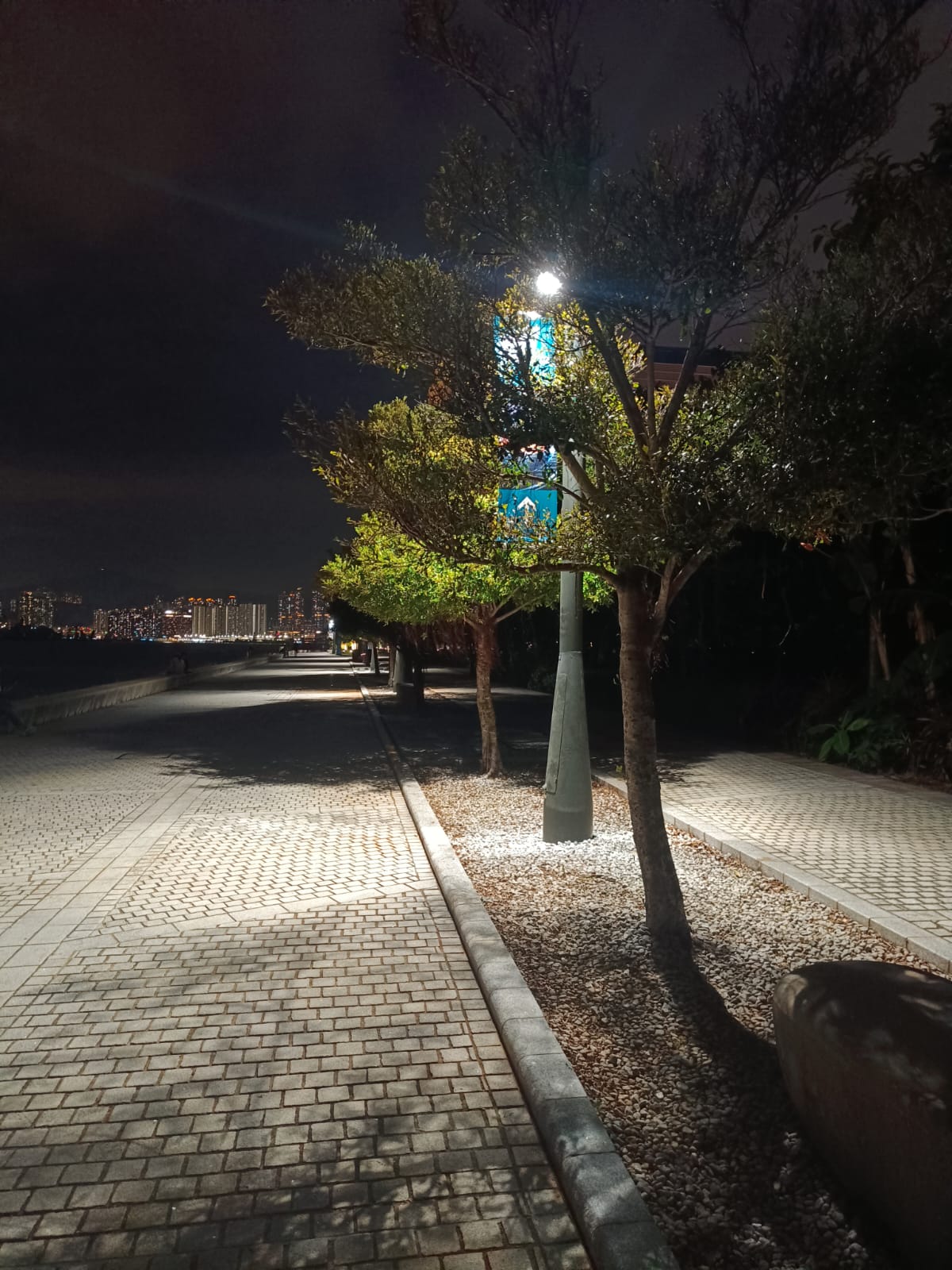 Walking at the park at night